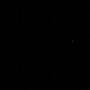 Meet your Posher, Connor